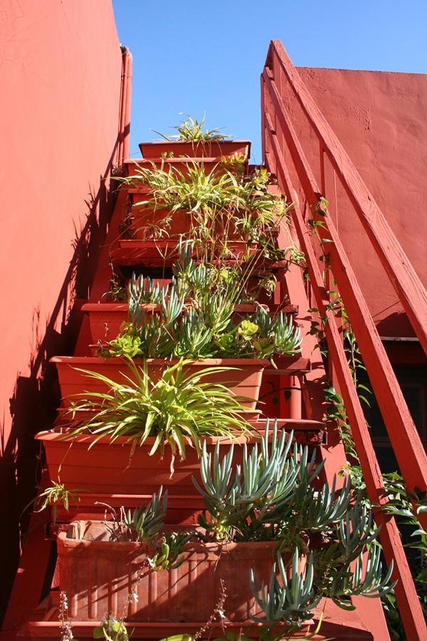 Auberge de jeunesse Casa Antiquary