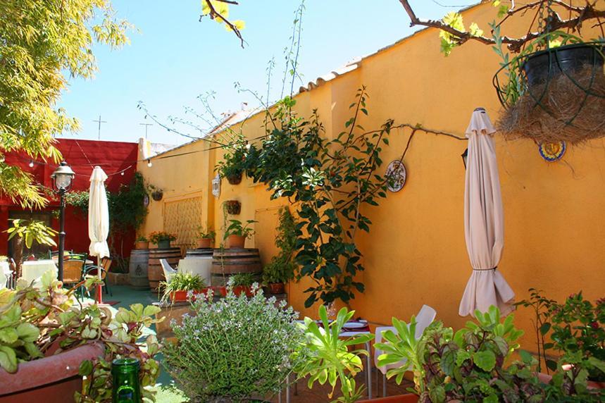 Auberge de jeunesse Casa Antiquary *